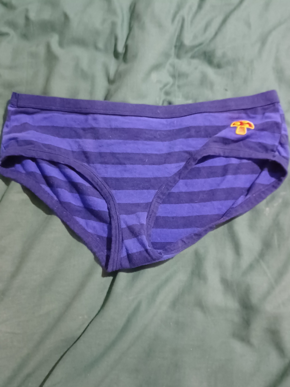 No Boundaries Purple Striped Bikini Briefs with Orange Accent